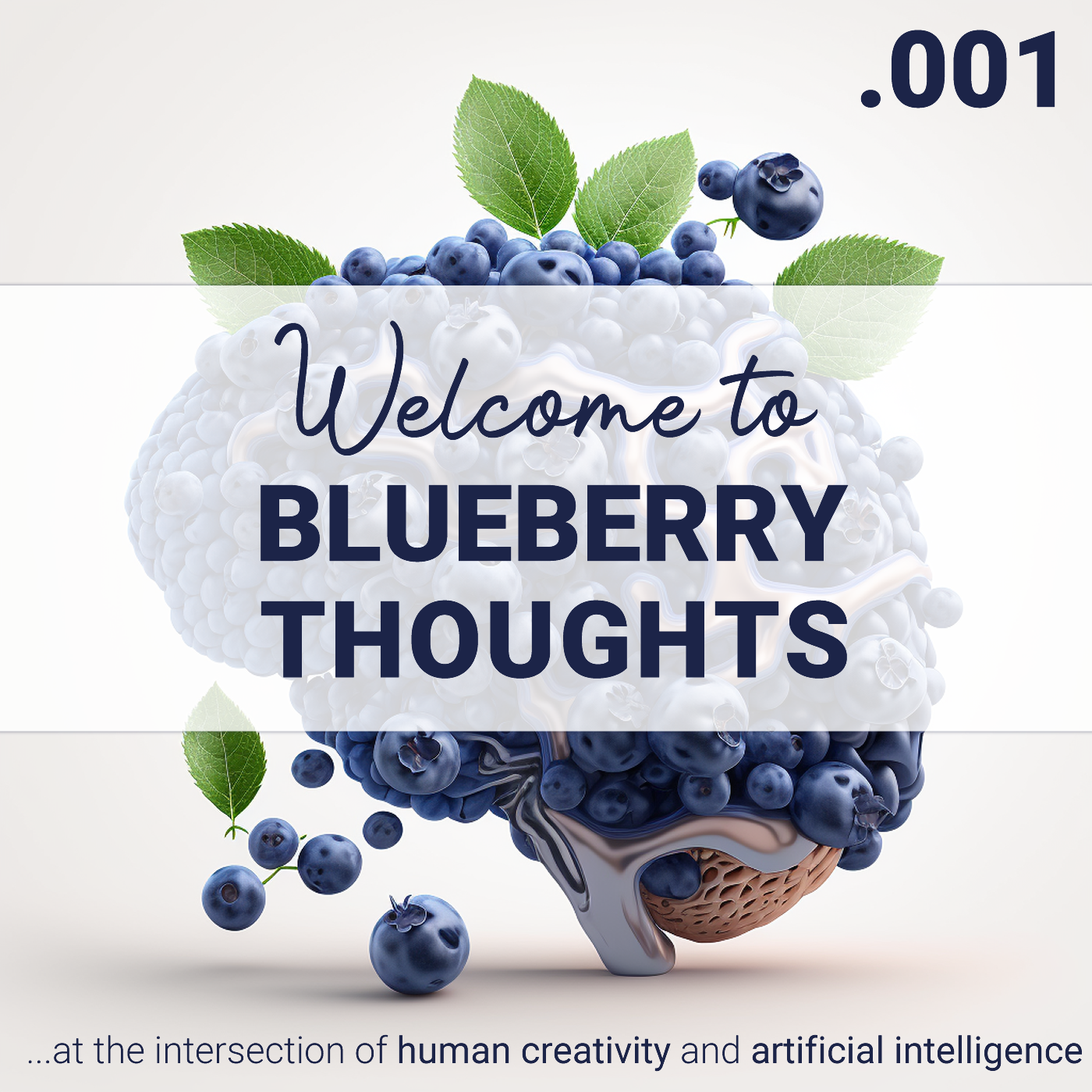 Ep. 001 – Welcome to the Blueberry Thoughts Podcast